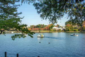 洗足池公園