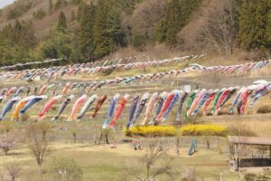 南八ヶ岳 花の森公園