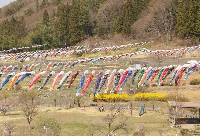 南八ヶ岳 花の森公園
