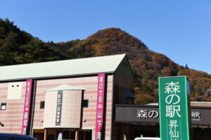 昇仙峡　影絵の森美術館
