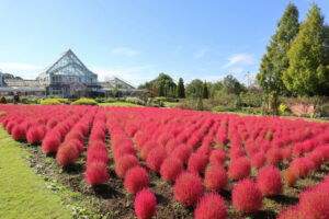 清水公園