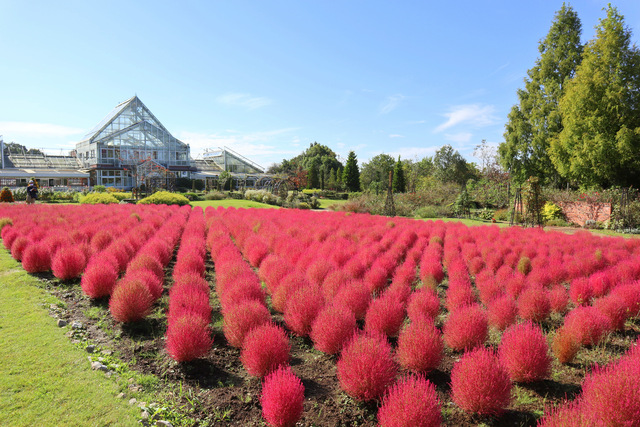 清水公園