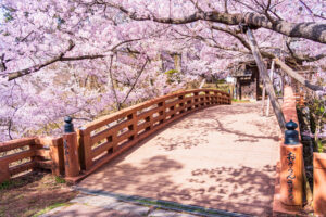 高遠城址公園