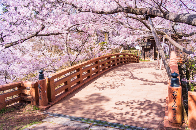 高遠城址公園