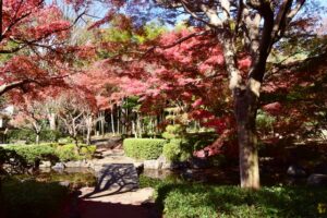 県立大磯城山公園