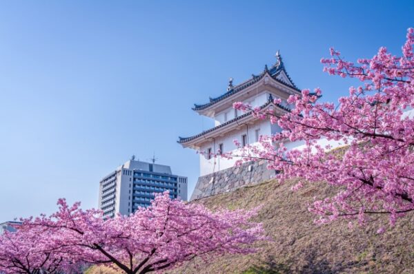 宇都宮城址公園