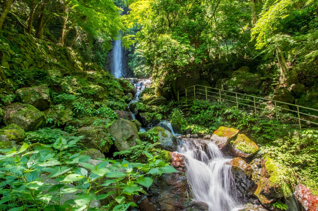 養老の滝