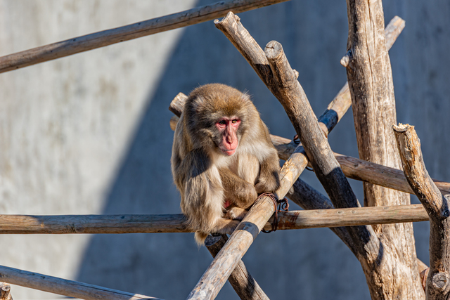 東公園動物園 岡崎市