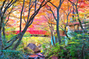岩屋堂公園