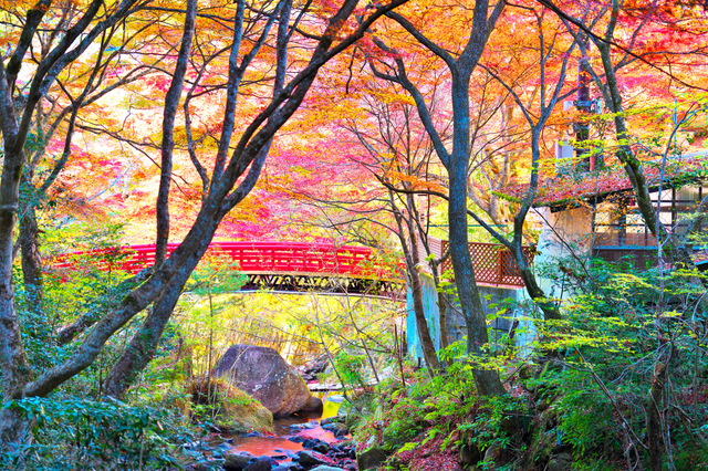 岩屋堂公園