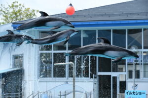 のとじま水族館