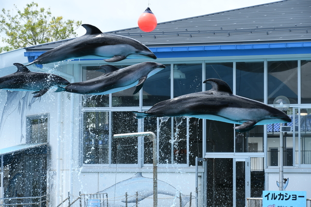 のとじま水族館