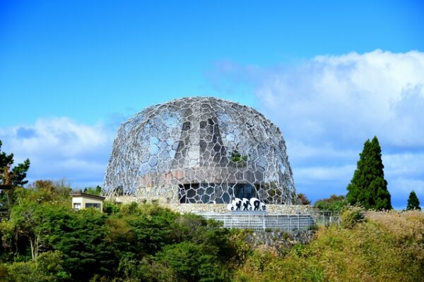 自然体感展望台 六甲枝垂れ