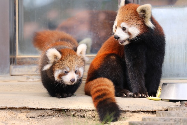 西山動物園
