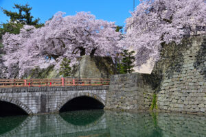 福井城跡