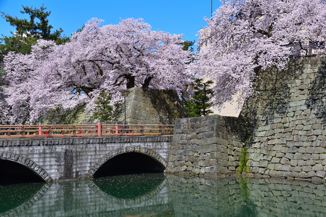 福井城跡