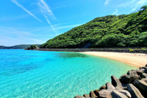 奄美大島
