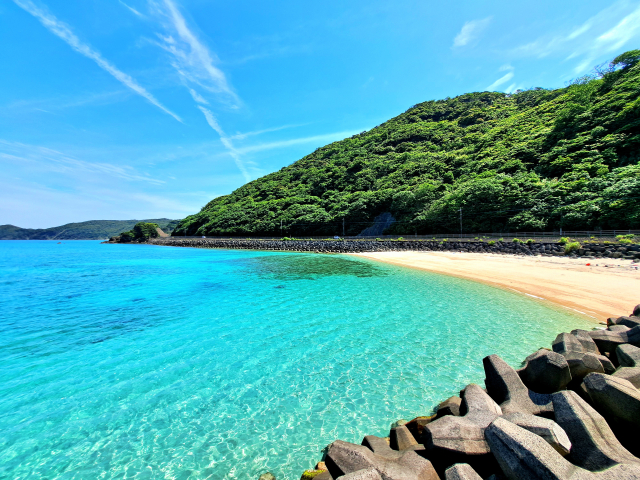 奄美大島