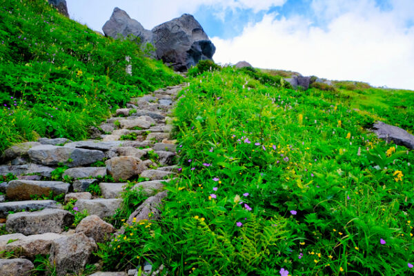 白山　砂防新道登山道