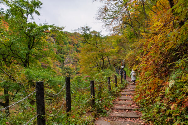 鳴子峡の遊歩道
