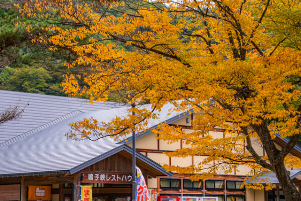 鳴子峡レストハウス