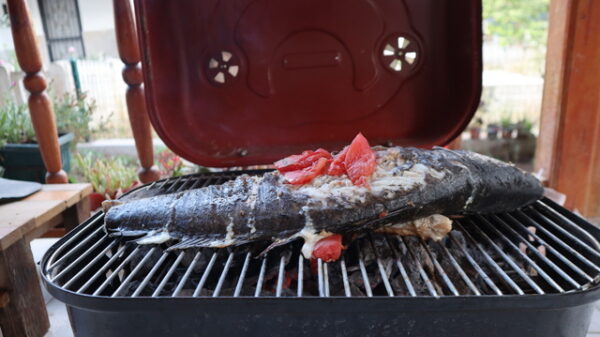 BBQ